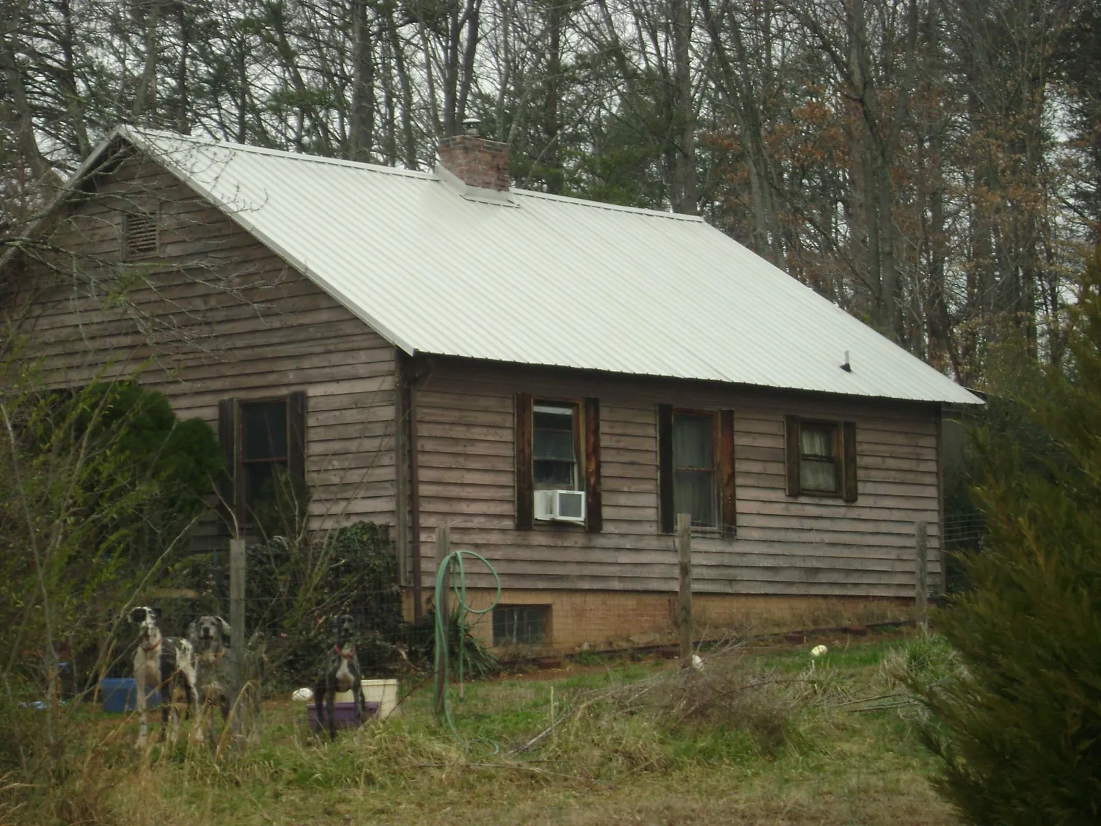 White metal roof on an old wood sided farmhouse, from a Asphalt Shingle Roof Repair job in Lisbon